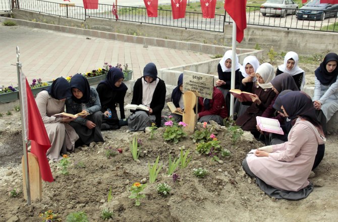 Kutlu Doğum Haftası