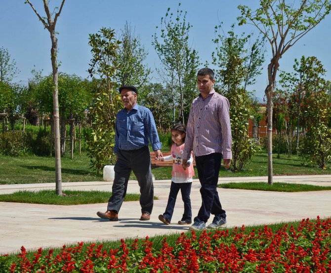 Yeni kollarıyla manolyaya can suyu verdi