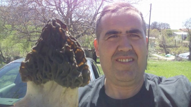 Beyşehir'de kuzugöbeği toplanmaya başlandı