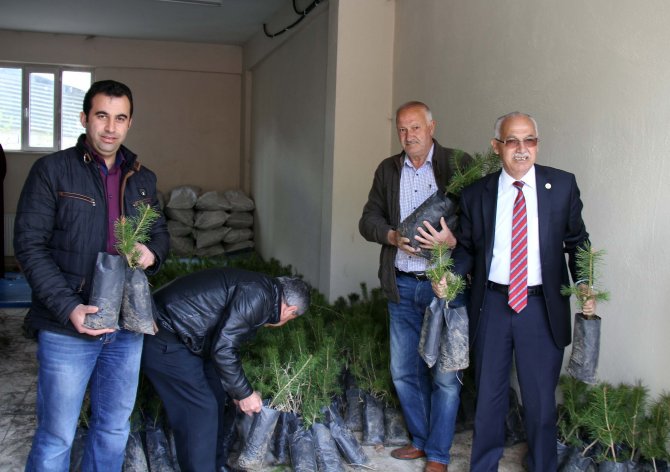 Hafik'te 4 bin fidan dağıtıldı