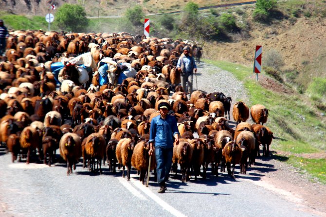 Tarihi köprü göçerlerin geçiş yolu