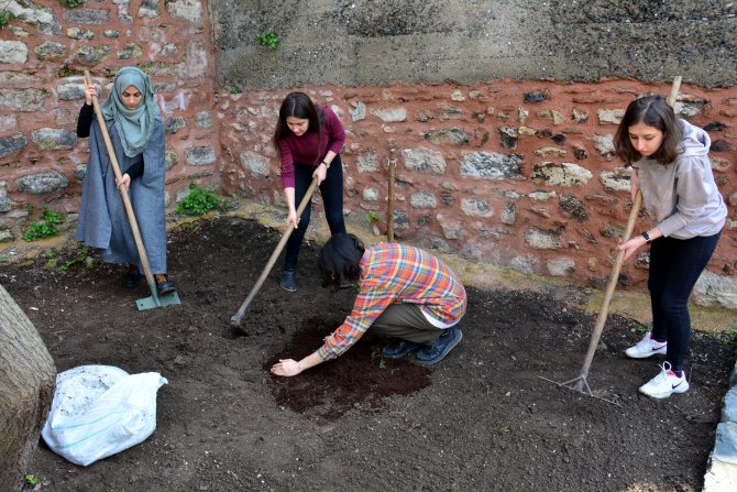 Üniversite bahçesinde organik tarım