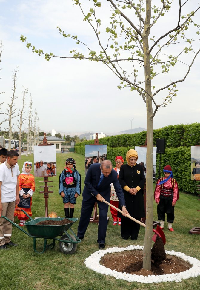 Dünya çocuklarından Külliye'nin bahçesine "Medeniyet Ağacı"