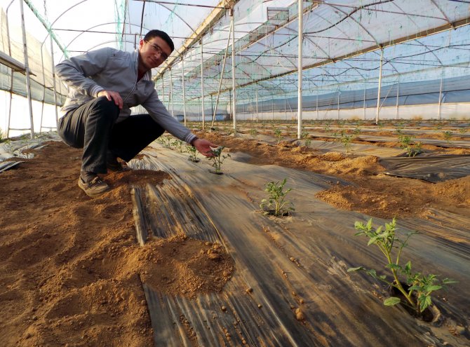 Seralara "siyah naylon"lu çözüm