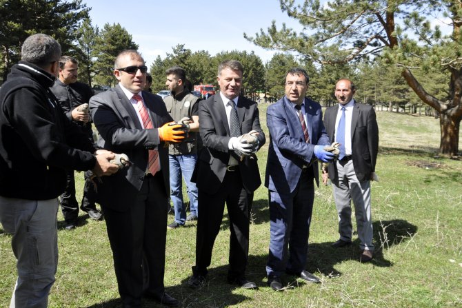 Kaçak avlanan keklikler doğaya bırakıldı