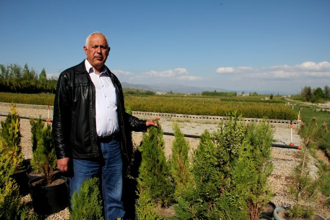 Seydişehir'den Türkiye'nin dört bir yanına fidan gidiyor