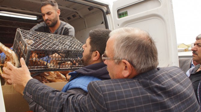 Çubuk’ta üreticiye tavuk, hindi ve ördek dağıtıldı