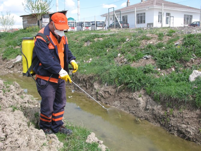Çubuk’ta, ilaçlama çalışmaları