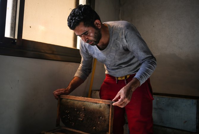 Gazze'de zor şartlarda bal üretimi