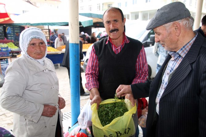 Madımak bitkisi tezgahlardaki yerini aldı