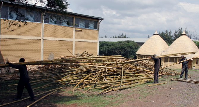 Etiyopya'da bambu ağacı sektörü