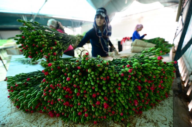 Annelerin çiçekleri kadınların elinden geçiyor
