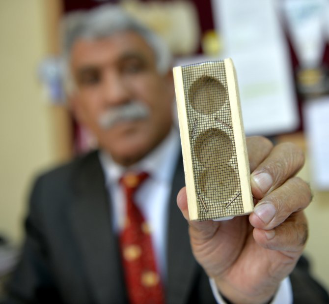 Kafkas ana arısı satışına rakım sınırı