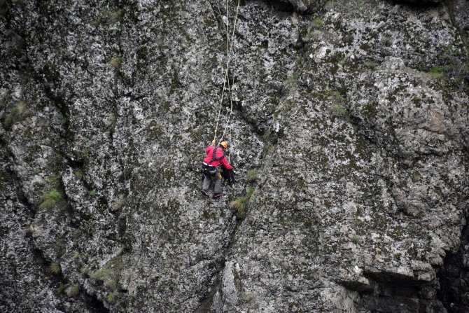 Kayalıklarda mahsur kalan keçi kurtarıldı