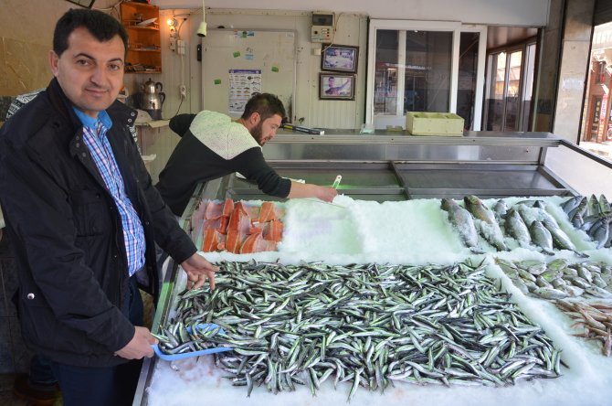 Kıyıda avlanan hamsi yüz güldürdü