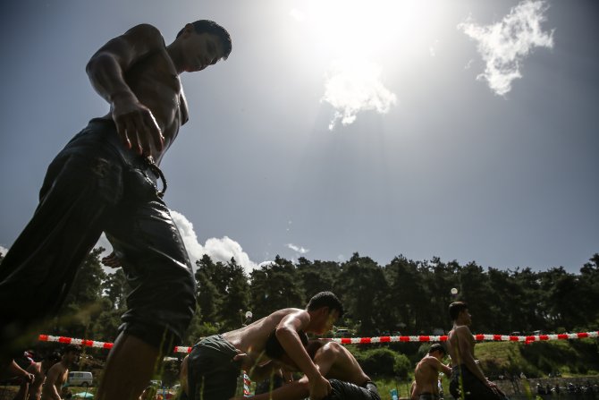 Geleneksel 54. Çalı Yağlı Güreşleri