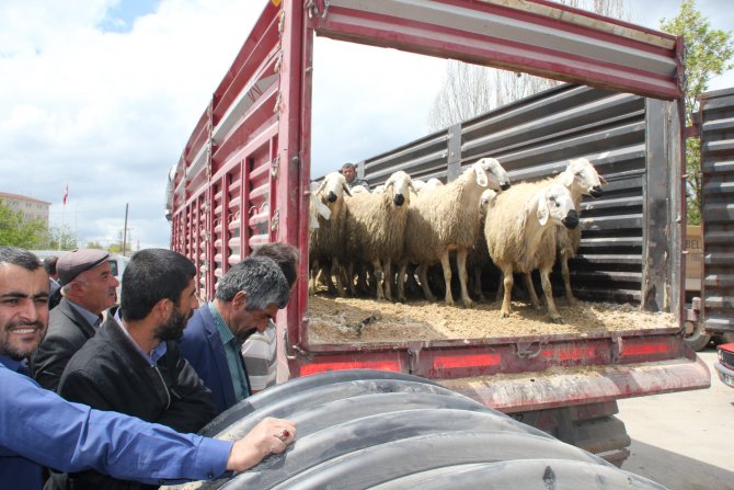 Haymana'da çiftçiye destek