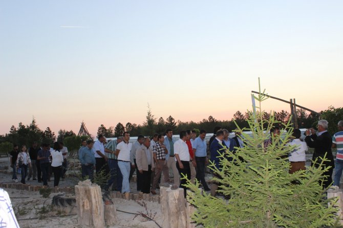 Karapınar'da "Toprak Bayramı" kutlandı