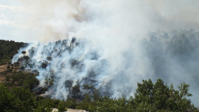 Mersin'deki orman yangını