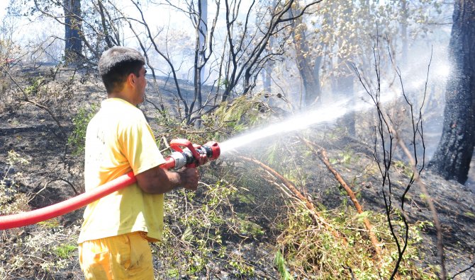 Kemer'de orman yangını