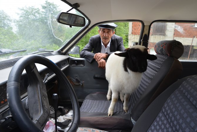 Kuzusunu yanından ayırmıyor