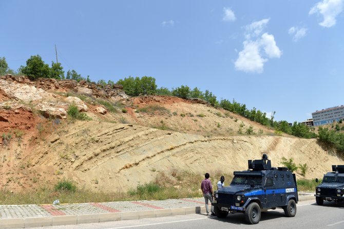 Tunceli'de yaban keçileri için karayolunda önlem