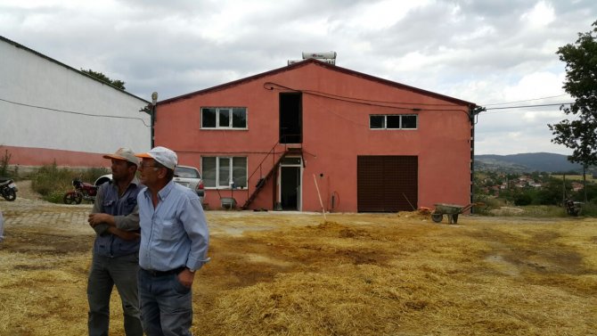 Balıkesir'deki şarbon hastalığı