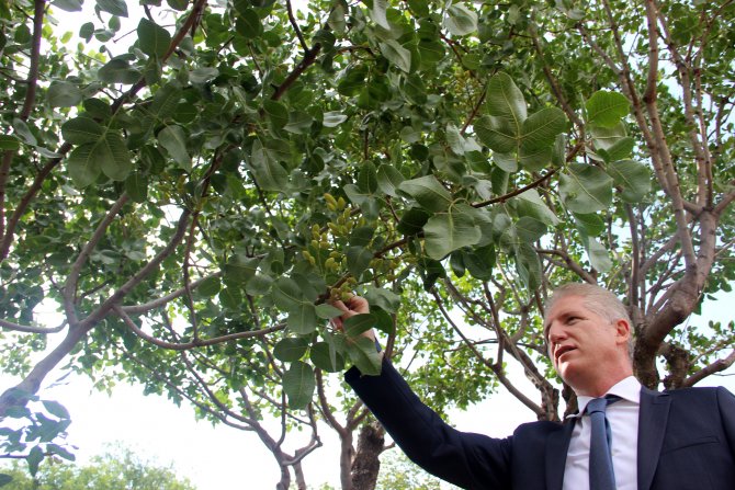 Vali Gül'den Suşehri'ne ziyaret
