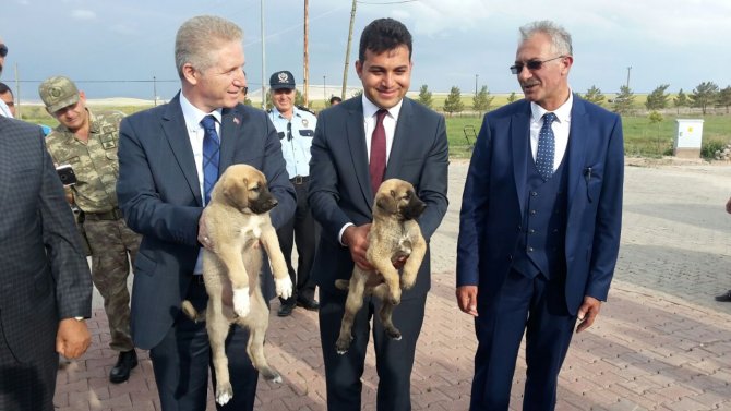 Vali Gül'den Kangal ilçesine ziyaret