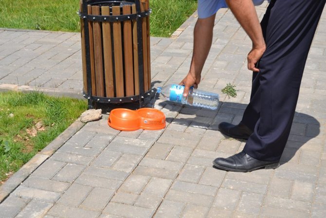 Nallıhan Belediyesi'nin çalışmaları