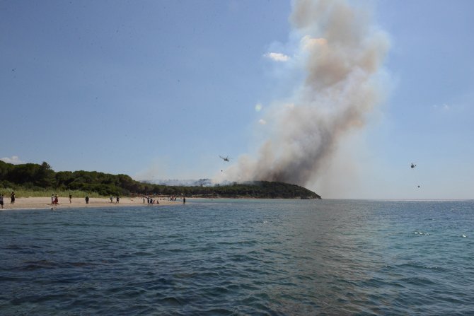 GÜNCELLEME 2 - Gelibolu Yarımadası'nda orman yangını