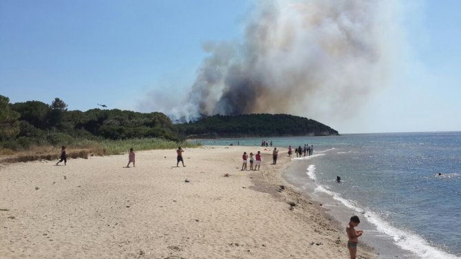 GÜNCELLEME - Gelibolu Yarımadası'nda orman yangını