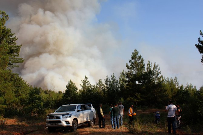 Kütahya'daki orman yangını