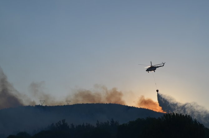 Balıkesir'de orman yangını