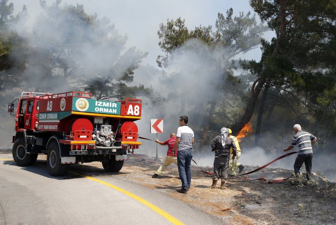 Manisa ve İzmir'de orman yangınları