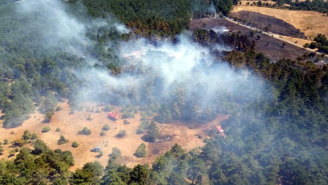 Çanakkale'de orman yangını