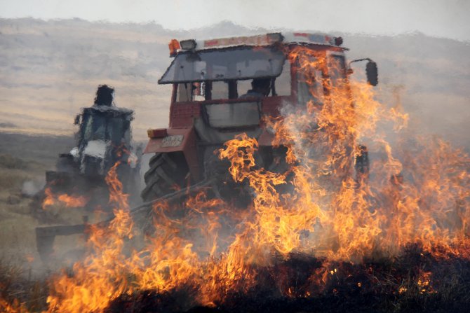Çekmegöl sazlıkları yandı