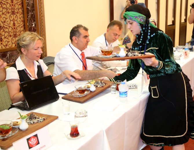 2016 Türkiye Çay Şampiyonası