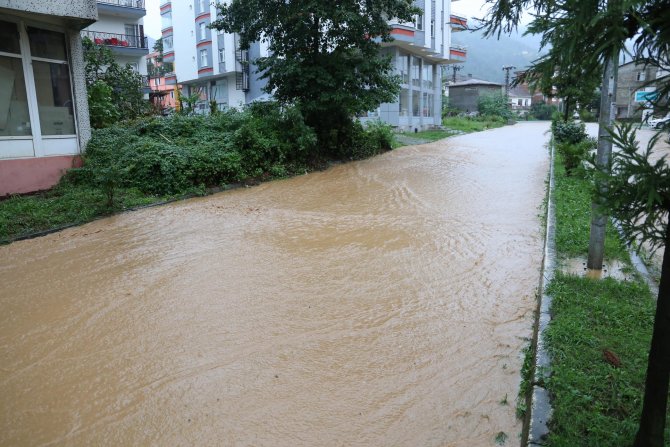 Artvin ve Rize'deki şiddetli yağış