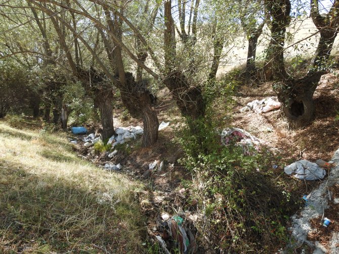 Çubuk'ta doğayı korumak için dernek kuruldu