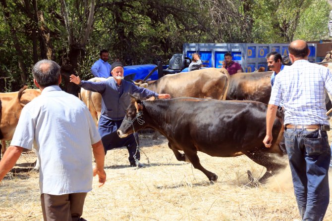 FETÖ'nün darbe girişimine ilişkin soruşturma