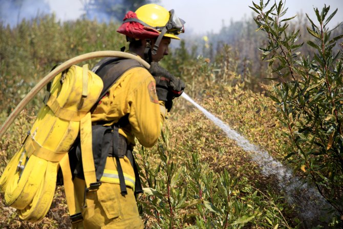 Santa Cruz Dağları'ndaki orman yangını