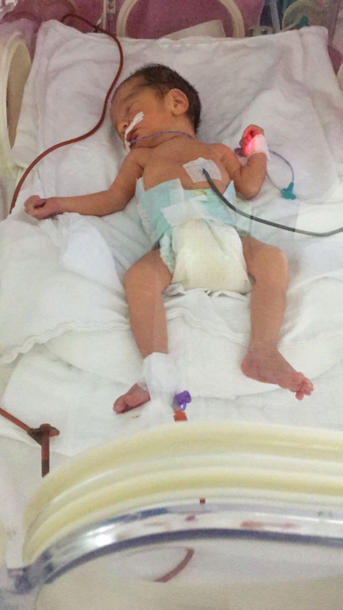 Organlarıyla 6 kişiye hayat veren kadın