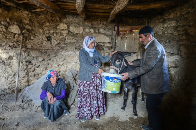 Çobanın otuz yıllık emeğini çaldılar