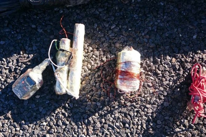 Diyarbakır'da terör operasyonu