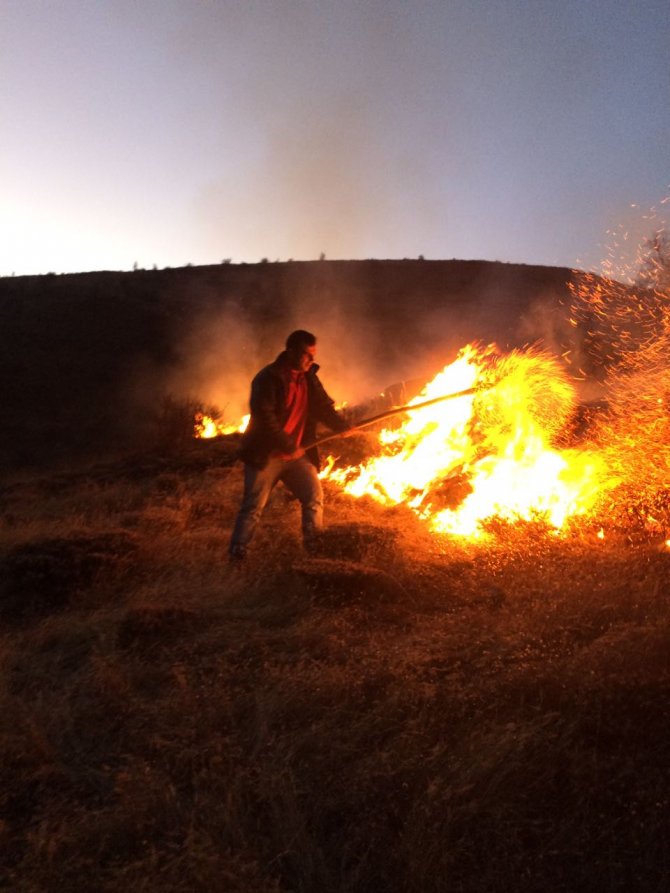 Doğanşar'da ormanlık alanda yangın