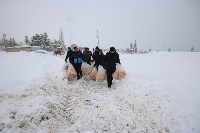 Beyşehir Belediyesi, sokak hayvanlarını ve kuşları unutmadı