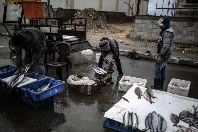 Mısır'dan Gazze'ye balık girişi