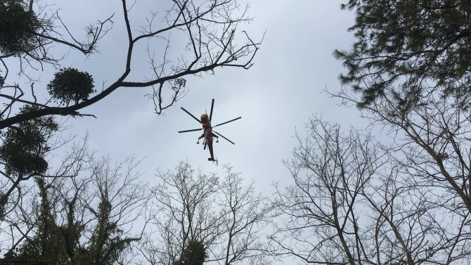 Bahçeköy'de ormanlık alanda yangın