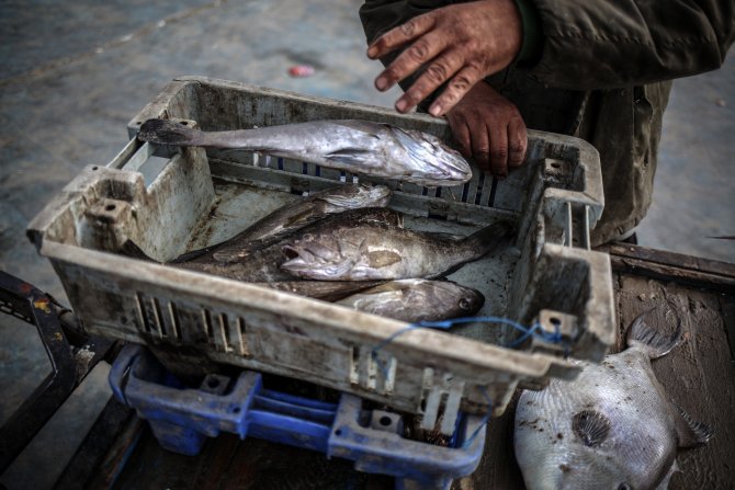 Gazzeli balıkçılar "avlanma mesafesinden" yakınıyor